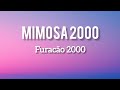 Mimosa 2000 Furacão 2000 Jujube Bee