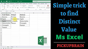 How to quickly get distinct value in Excel [2024]