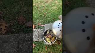 Compost Bin Update - 5 months and 3 weeks… #diy #gardenideas #nontoxicproducts