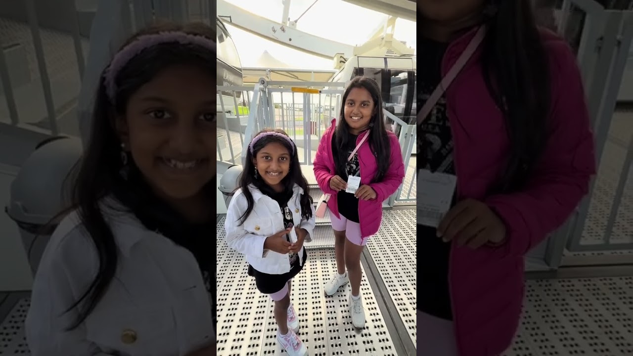 The Cape Wheel at the Cape Town Waterfront, South Africa 🇿🇦