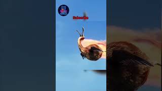 Download Lagu His father left him but his mother didn't 😥💔 / #subscription #films #movie #subscribe MP3 Download Lagu His father left him but his mother didn't 😥💔 / #subscription #films #movie #subscribe MP3
