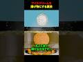 アイスクリームを揚げ物にする裏技 #海外 #shorts