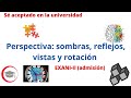 Perspectiva: sombras, reflejos, vistas y rotación para EXANI-II (admisión)