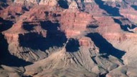 Fossils: Evidence of the Flood!