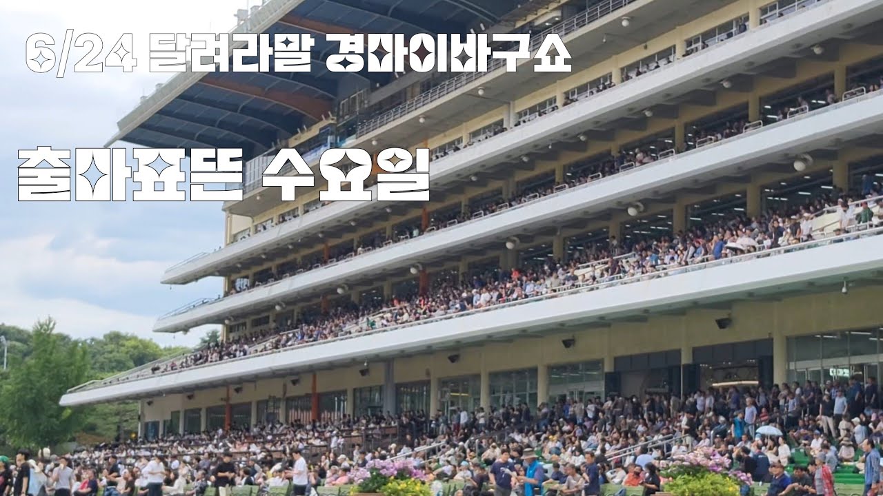 이번주는 행사도많고 경마도 않고