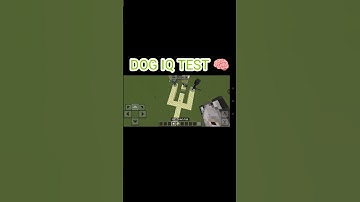 🐕 Dog IQ Test Gone Wrong – He Did WHAT?! #minecraft