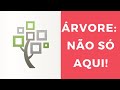 NÃO TENHA SUA ÁRVORE GENEALÓGICA APENAS NO FAMILYSEARCH