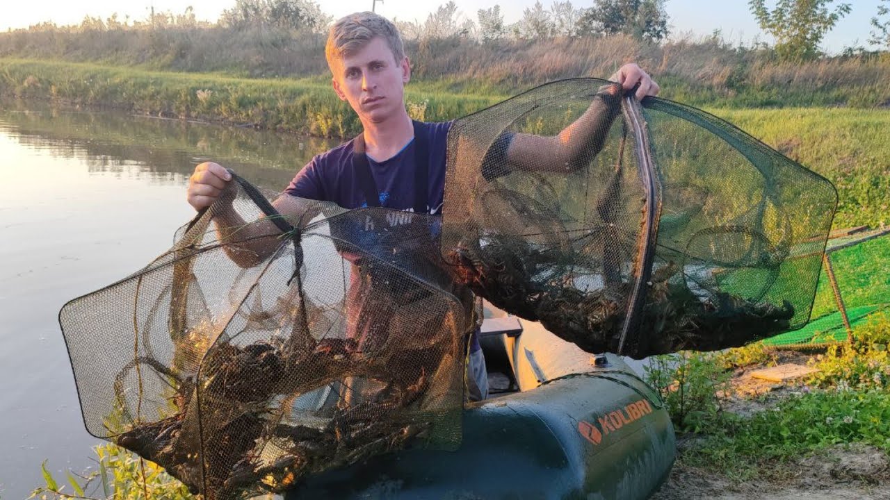 Раколовки  полные Раков , раки ловятся,рыба коптится ...