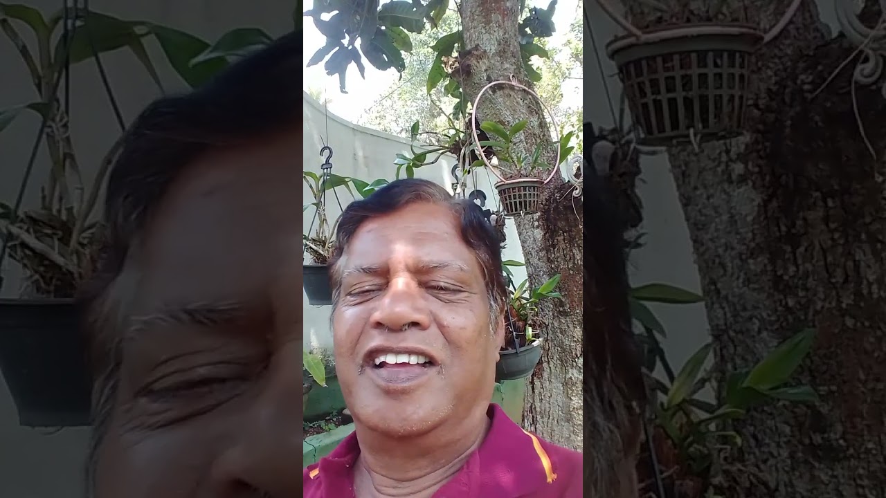 499 - සොවාන් වුණ අයෙකුගේ ගති ලක්ෂණ 25 ක්. ඒ අනුව ඔබත් සොවාන් දැයි පරීක්ෂා කොට බලන්න.