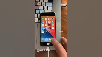 Downgrade iOS 15.7.9 to 14.8 With SHSH BLOB #downgrade #ios #apple #iphone6s