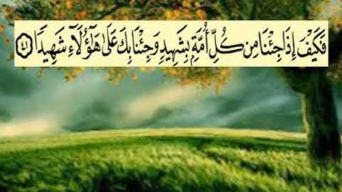 سورة النساء اية ٤١ جمال القرش