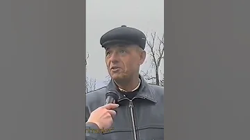 Почему не прилетают голуби со свадьбы. Какая опасность подстерегает птиц иногда