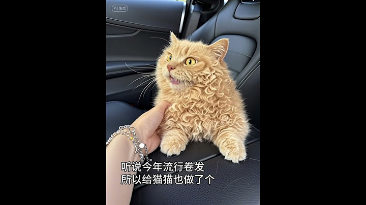 早啊家人们，卷起来 萌宠版万物皆可AI羊毛卷一张照片证明你的猫被你养的很好 请记住这个猫猫 萌到爆炸了💥