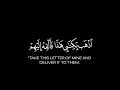 كروما شاشه سوداء القرآن الكريم تلاوة من سورة نامال قاري بلال دربالي 