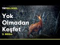 Yok Olmadan Keşfet | Şamua (Çengel Boynuzlu Dağ Keçisi) | TRT Belgesel