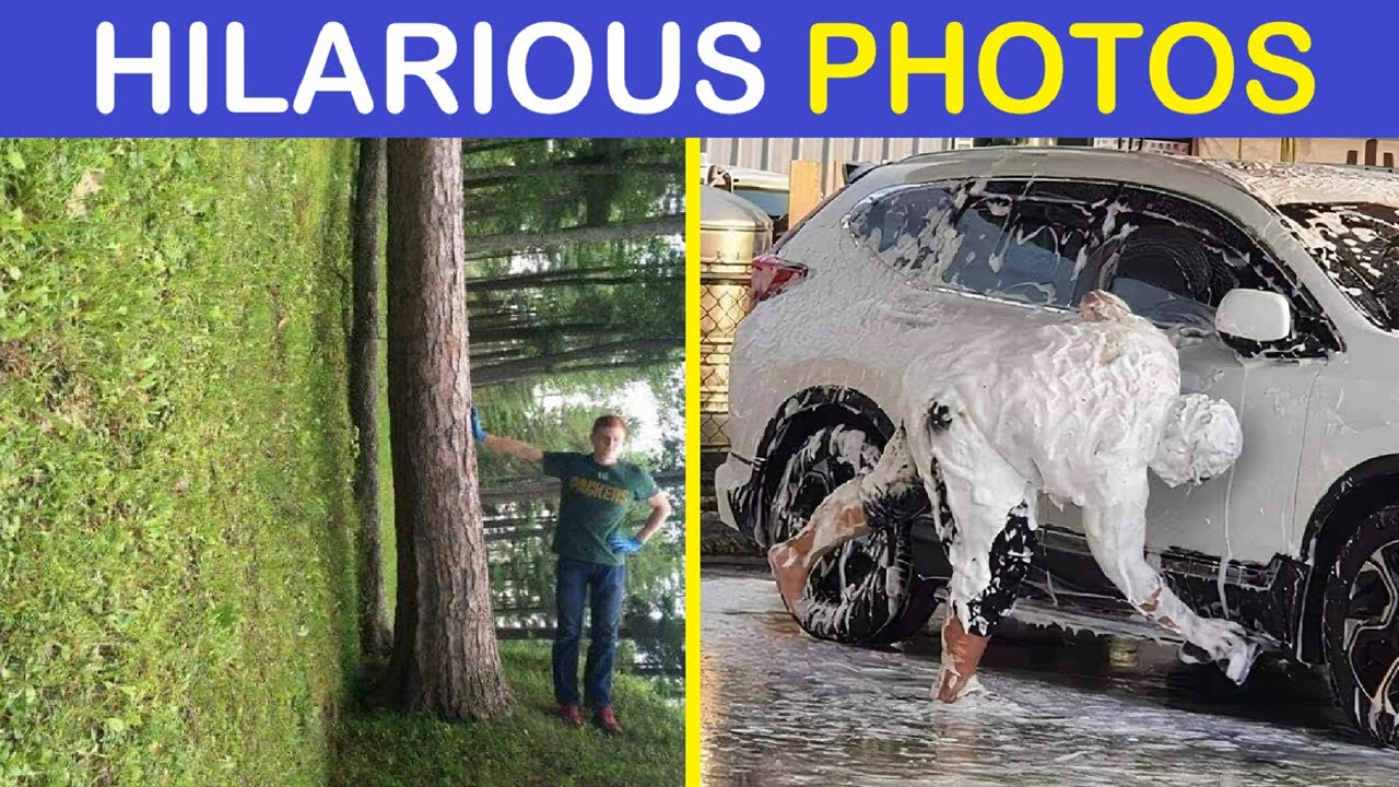 Warning: These Hilarious Photos May Cause Extreme Procrastination | Happy And Fun