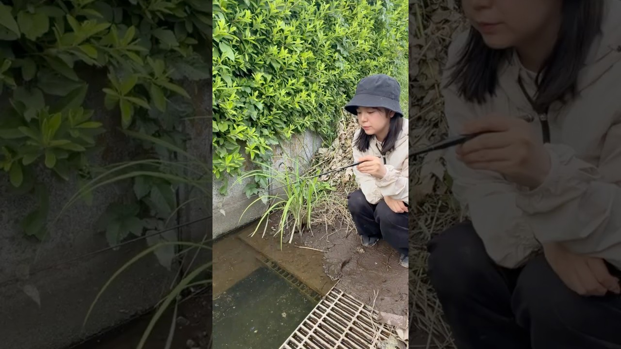 タナゴ釣り】こんなとこに！？気になった穴で釣りしてみたら - YouTube