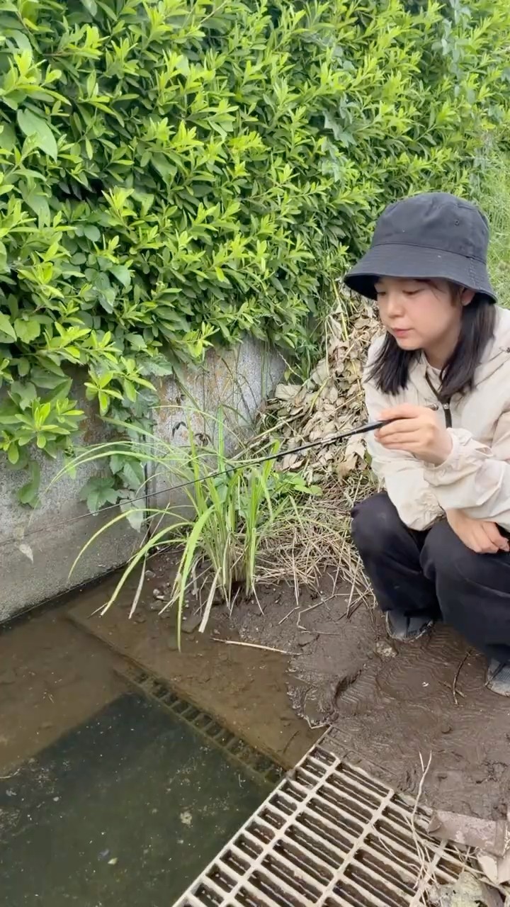 タナゴ釣り】こんなとこに！？気になった穴で釣りしてみたら - YouTube