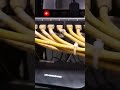 live transmission GPON network