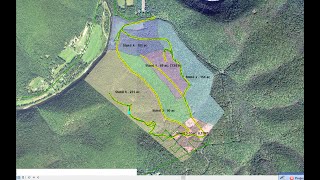 Writing a Forest and Wildlife Management Plan for Your Property