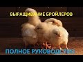 Выращивание бройлеров. ПОЛНОЕ РУКОВОДСТВО! от подготовки до забоя