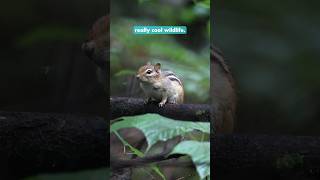 Camping Georgian Bay Islands National Park!