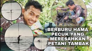 berburu hama bebek pecuk yang meresahkan petani tambak Gresik