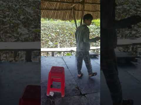 đầm sen thành phố hồ chí minh New Update Đâm sen tam đa q9 tphcm