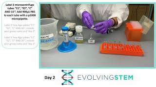 EvolvingSTEM Day 2
