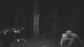 10 Scariest Urban Legends Of America