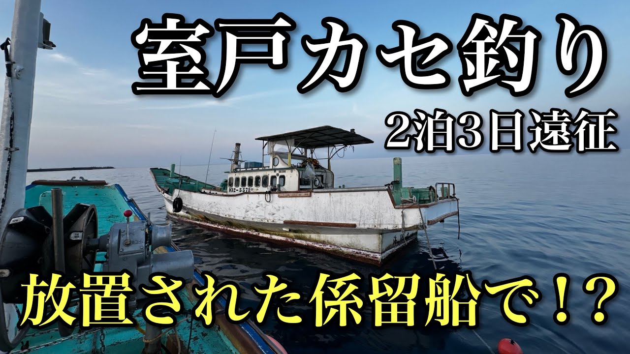穴場の渡船？高知県のカセで泊まり釣行してみたら…！？【1日目】 - YouTube