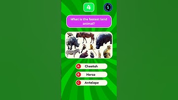 Test Your Animal Knowledge part 1 🐶🐱🦜 Animal Quiz #shorts #animals #quiz