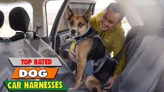 Safe Travels Guaranteed! Top-Rated Dog Car Harnesses for Every Adventure (2024 Guide) by Pet Needs 51 views 2 weeks ago 13 minutes, 19 seconds