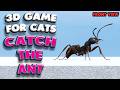 3D game for cats | CATCH THE ANT (front view) | 4K, 60 fps, stereo sound