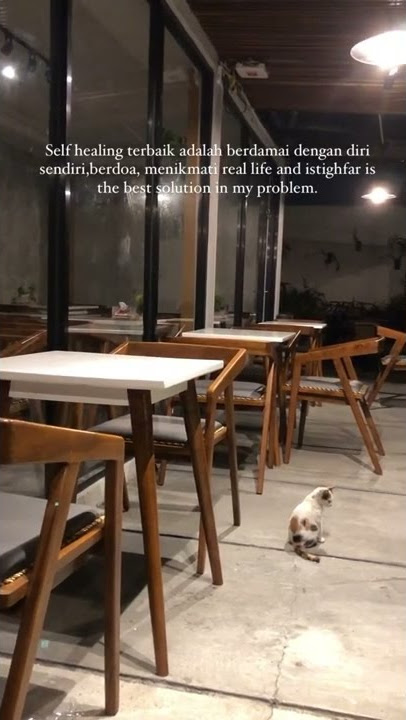 STORY WA 30 DETIK ✴️ || STORY WA TERBARU || STATUS WA 30 DETIK || STORY WA KEREN #Shorts