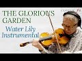 Water Lily Instrumental | The Glorious Garden | Classic FM