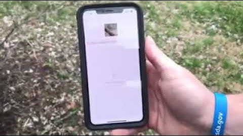 Intro to iNaturalist