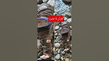 #سورة_الإخلاص #egzonibrahimi #اكسبلور #جديدي #القارئ #nature #المصحف #تيك_توك #ikhlas #يحاط