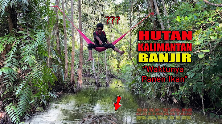 BERBURU IKAN PENGHUNI HUTAN KALIMANTAN PAKE BERBAGAI MACAM JENIS UMPAN😅 #138 #bocahpecicilan
