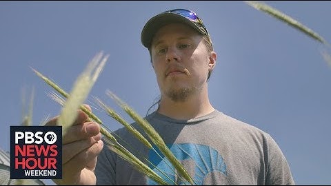 Can sustainable farming save Iowa