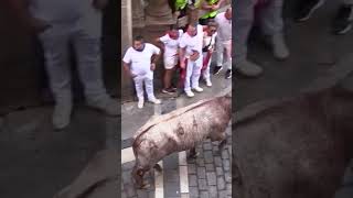 Siete heridos, uno inconsciente, tras el cuarto encierro de San Fermín