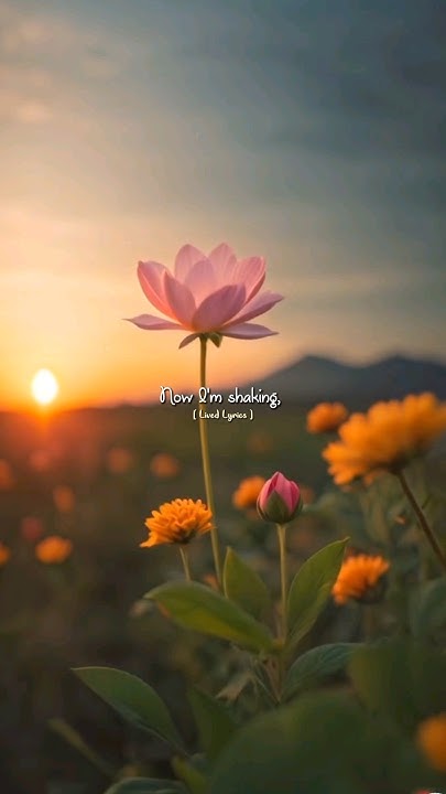 Now I'm Shaking Drinking All This Coffee Comethru ~ Jeremy Zucker Now I'm Shaking, Drinking All This Coffee #