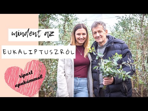 Minden, amit az eukaliptuszról tudni akartál 🌿 | Riport apukámmal 💚 | A kertész lánya #19