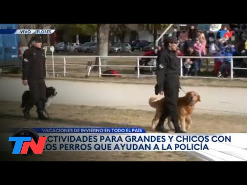 VACACIONES DE INVIERNO EN TN: Perros policía de exhibición