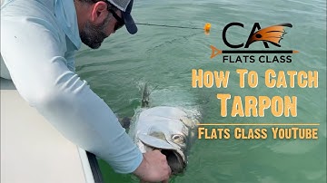 How To Catch Tarpon - Flats Class YouTube