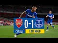 EXTENDED HIGHLIGHTS: ARSENAL 0-1 EVERTON