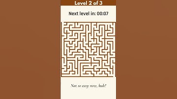 Can You Solve This Maze Puzzle in 60 Seconds? 🧠🔥 #Shorts