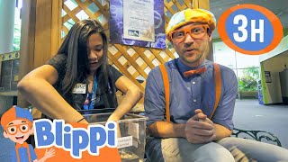 Blippi Visits the Pacific Science Center  | Blippi and Meekah Best Friends Adventures