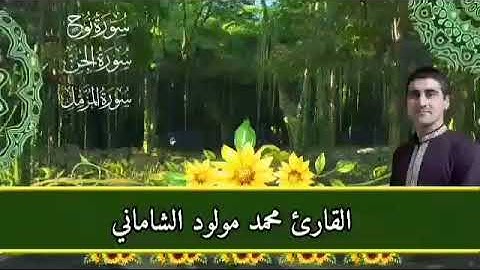 القارئ محمد مولود الشاماني تلاوة عراقيه من الاية ٢١ من سورة نوح إلى الآية ١٦ من سورة المزمل