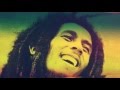 Official Lyric Video for &quot;LIFE&quot; by Skip Marley